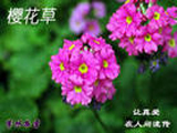 ưʱô